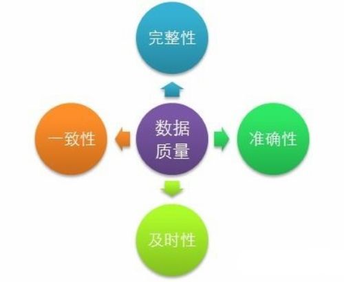 從“一把手工程”到“治理自覺” 論數據文化的賦能與生成